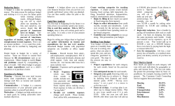 Budgeting Basics Cash Flow Analysis Building