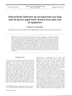 Interactions between an ascoglossan sea slug and its green algal