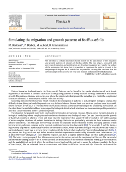 Physica A Simulating the migration and growth patterns of Bacillus