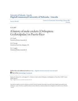 A history of mole crickets (Orthoptera: Gryllotalpidae) in Puerto Rico