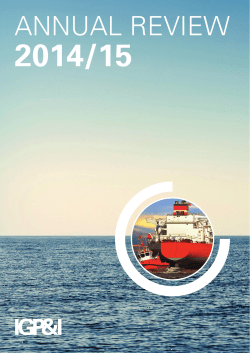 IG Annual Review 2014/15