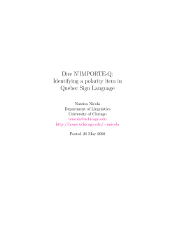 Dire N`IMPORTE-Q: Identifying a polarity item in