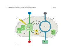 F G A B C H E I J D K L M N