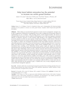 Kelp forest habitat restoration has the potential to increase sea