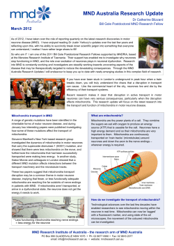 MND Australia research update 0312