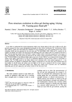 Pore Structure Evolution in Silica