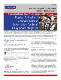 (SSERT) A - Institute for Infectious Animal Diseases
