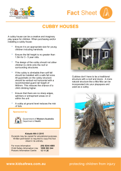 cubby houses