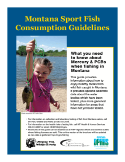 Montana Sport Fish Consumption Guidelines