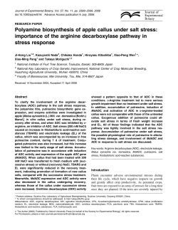 Polyamine biosynthesis of apple callus under salt stress: importance