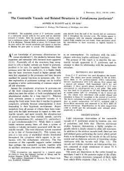 The Contractile Vacuole and Related Structures in