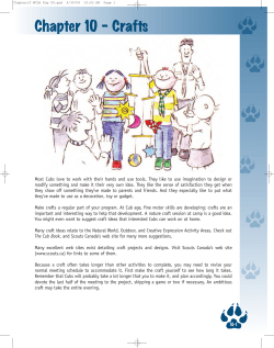 Crafts - Scouts Canada Wiki