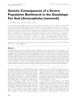 Genetic Consequences of a Severe Population Bottleneck in the