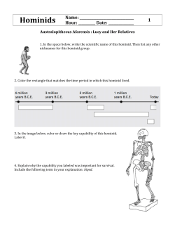 Hominids Worksheets