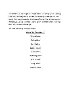 The children in Ms Chapman`s `Read Write Inc` group