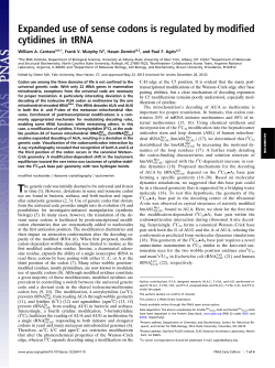Expanded use of sense codons is regulated by modified cytidines in