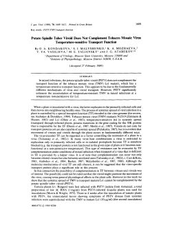 Potato Spindle Tuber Viroid Does Not Complement Tobacco Mosaic