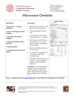 Microwave Omelette
