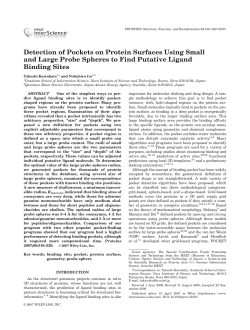 Detection of pockets on protein surfaces using