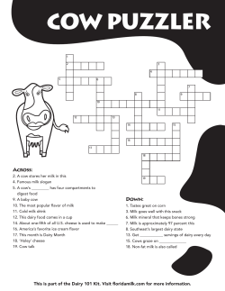 Cow Puzzler Crossword - Huddle Up for Breakfast