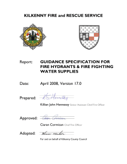 Specification Fire Hydrants Water Supplies Version 17.1 (size