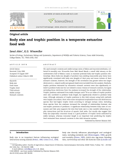 Body size and trophic position in a temperate estuarine food web