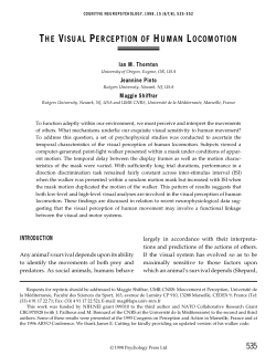the visual perception of human locomotion