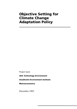 Objective Setting for Climate Change Adaptation Policy
