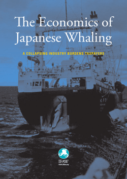 e Economics of Japanese Whaling - International Fund for Animal