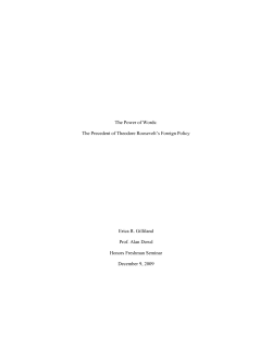 The Power of Words: The Precedent of Theodore Roosevelt`s