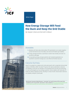 How Energy Storage Will Feed the Duck and Keep the Grid