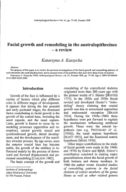 Facial growth and remodeling in the australopithecines