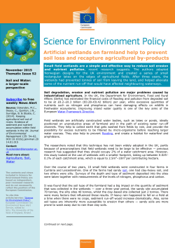 Artificial wetlands on farmland help to prevent soil loss and