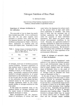 Nitrogen Nutrition of Rice Plant