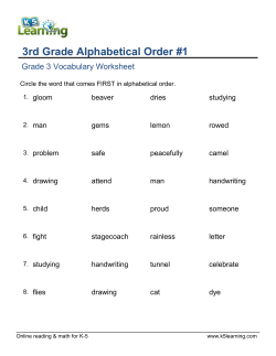 third grade 3 worksheet - Sri Krish International School