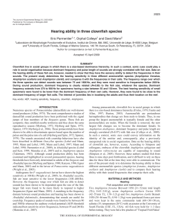 Hearing ability in three clownfish species