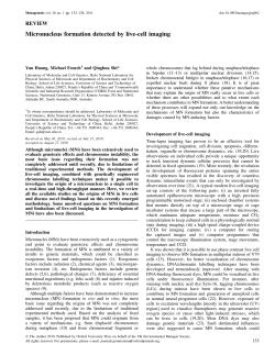 Micronucleus formation detected by live-cell