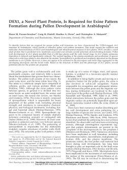 DEX1, a Novel Plant Protein, Is Required for