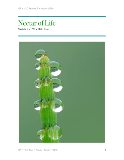 Nectar of Life - impossible2Possible