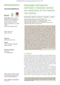 Biogeographic and bathymetric determinants of brachiopod