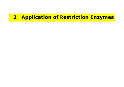 2 Application of Restriction Enzymes