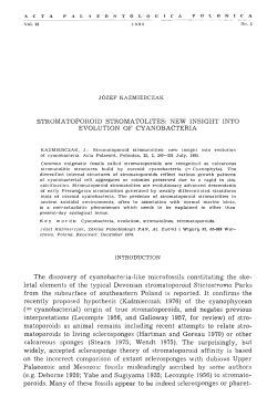 STROMATOPOROID STROMATOLITES: NEW INSIGHT INTO