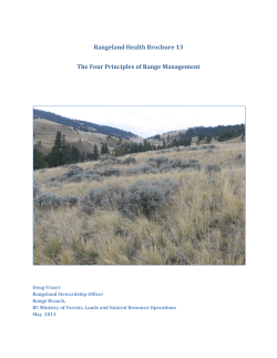 The Four Principles of Range Management