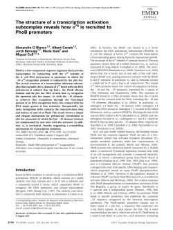 The structure of a transcription activation subcomplex reveals how