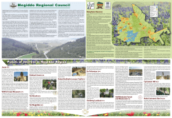 Megiddo Regional Council