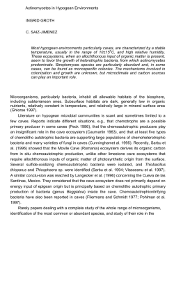 Actinomycetes in Hypogean Environments INGRID GROTH C. SAIZ