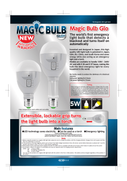 Magic Bulb Glo