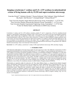 Imaging cytochrome C oxidase and FoF1-ATP