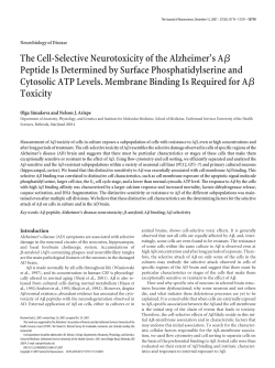 The Cell-Selective Neurotoxicity of the Alzheimer`s AЯ Peptide Is