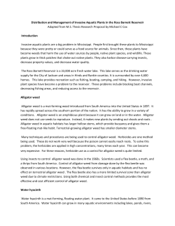 Invasive Aquatic Plants in the Ross Barnett Reservoir